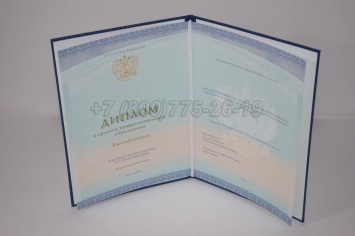 Диплом Техникума 2020г СпецБланк в Улан-Удэ