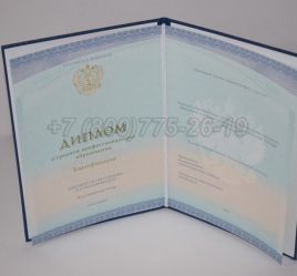 Диплом Техникума 2019г СпецБланк в Улан-Удэ